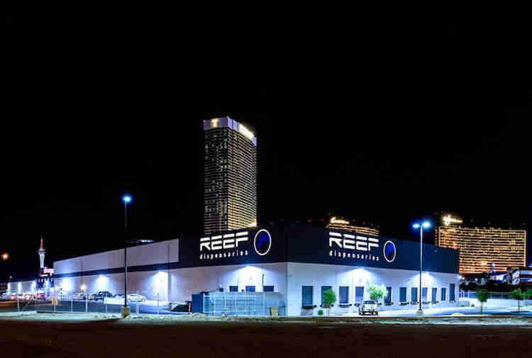 DISPENSARY TOURS: Reef DispensariesPost Image